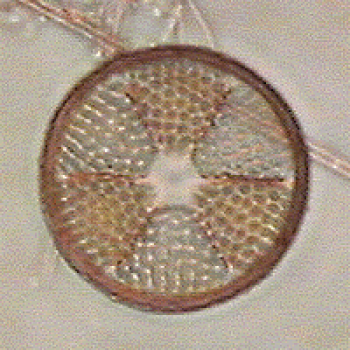 image043